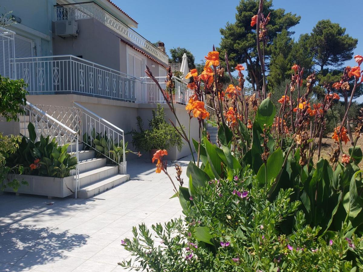 Malibu Studios & Apartments Lassi (Kefalonia) Exterior foto
