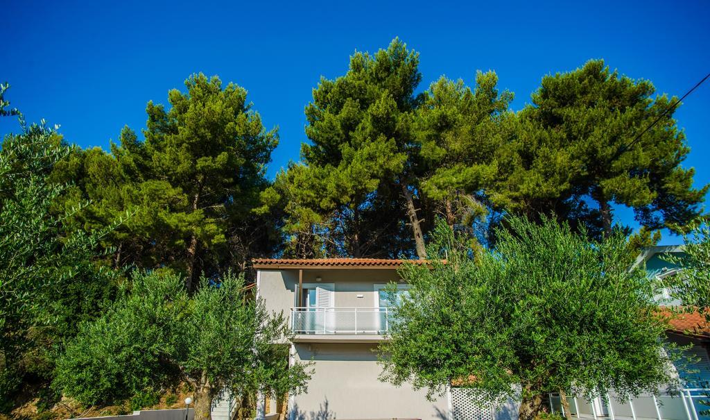 Malibu Studios & Apartments Lassi (Kefalonia) Exterior foto