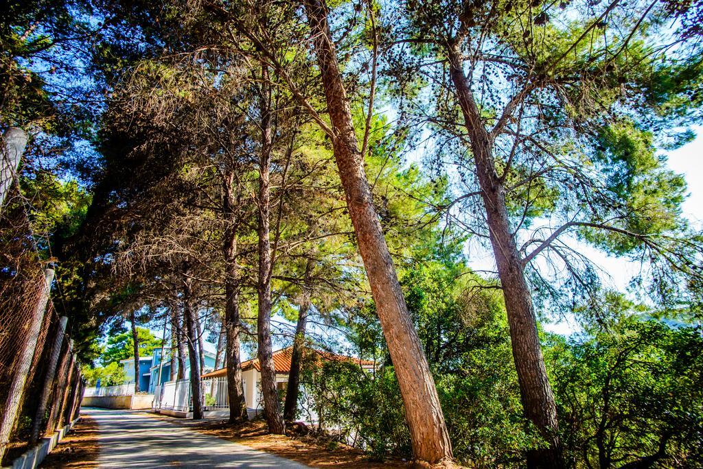 Malibu Studios & Apartments Lassi (Kefalonia) Exterior foto